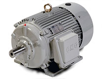 Industrial Motors